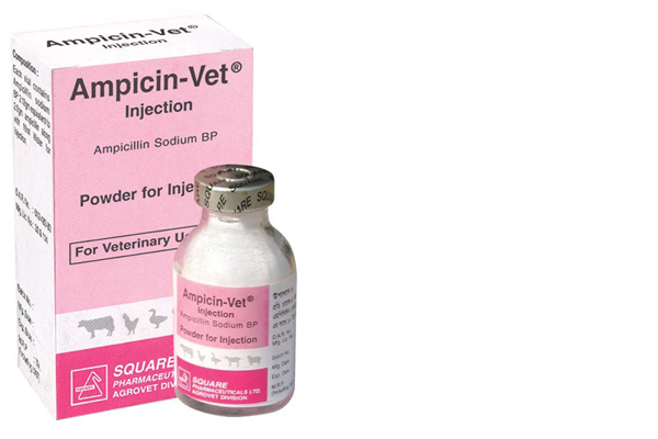 Ampicin-Vet<sup>®</sup> Injection