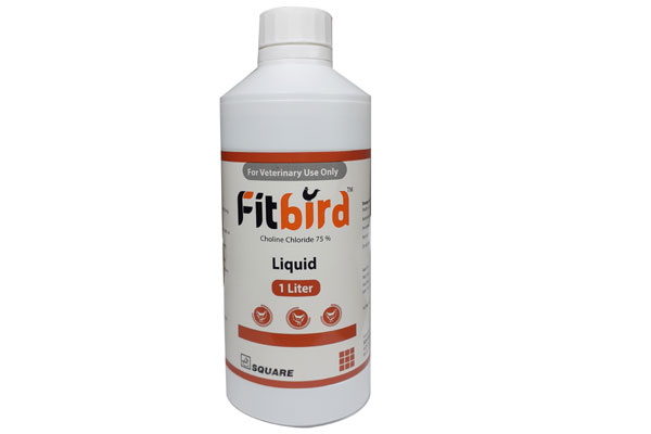 Fitbird Liquid
