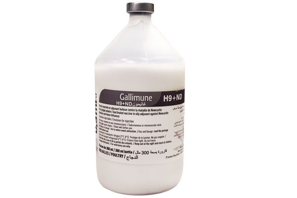 Gallimune H9+ND