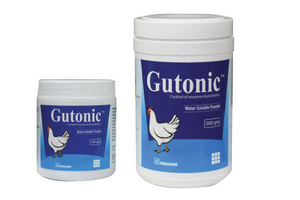 Gutonic<sup>TM</sup> Powder
