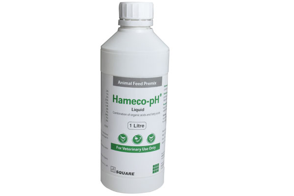 Hameco-pH<sup>®</sup>