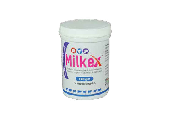 Milkex™ Powder